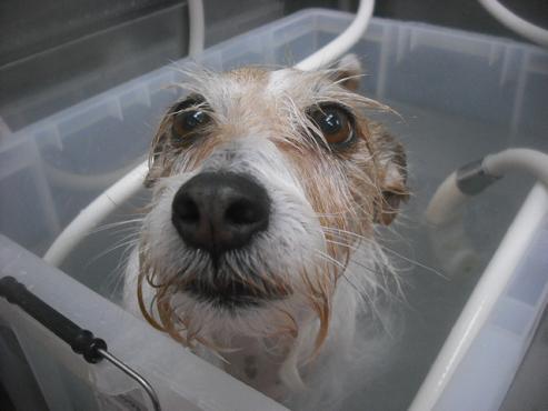 ファイル 2444-2.jpg