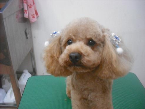 ファイル 2447-1.jpg