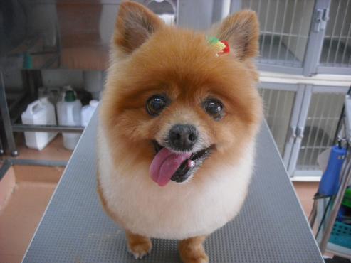 ファイル 245-1.jpg