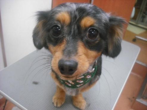 ファイル 2453-1.jpg