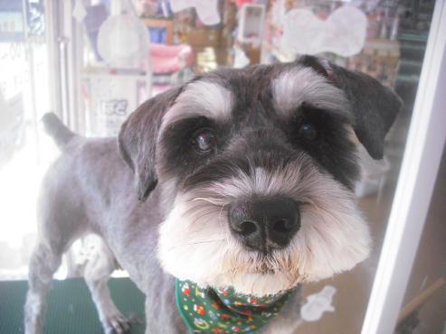 ファイル 2454-1.jpg