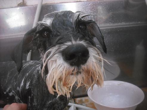 ファイル 2454-2.jpg