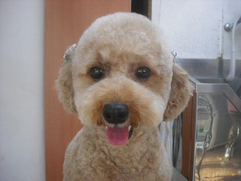 ファイル 2455-1.jpg