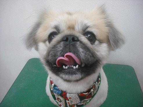 ファイル 2456-1.jpg