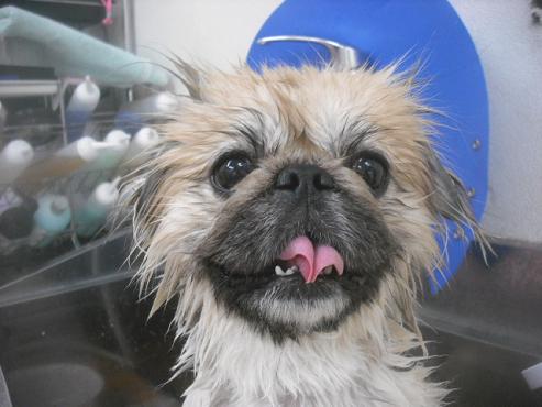 ファイル 2456-2.jpg