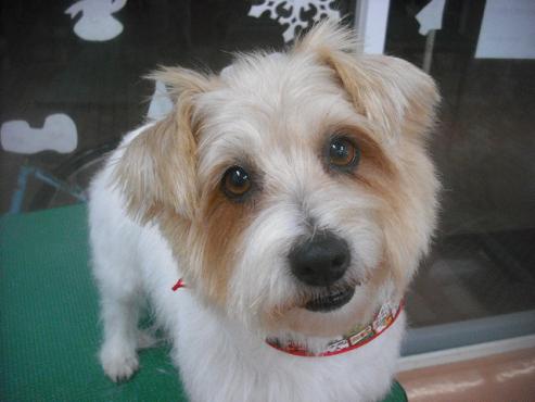 ファイル 2457-1.jpg