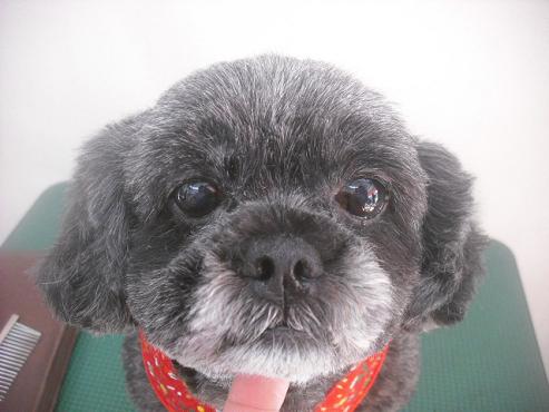 ファイル 2459-1.jpg