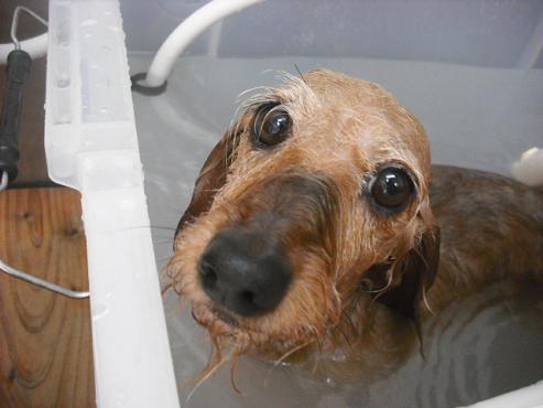 ファイル 246-2.jpg