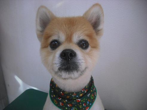 ファイル 2460-1.jpg