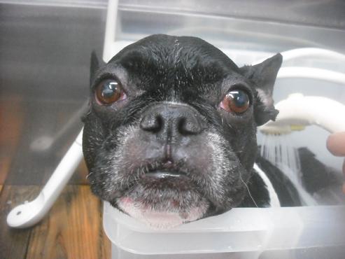 ファイル 2463-2.jpg