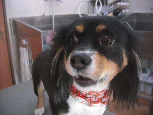 ファイル 2464-2.jpg