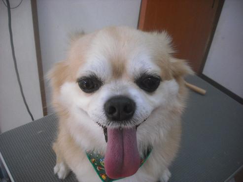 ファイル 2469-1.jpg