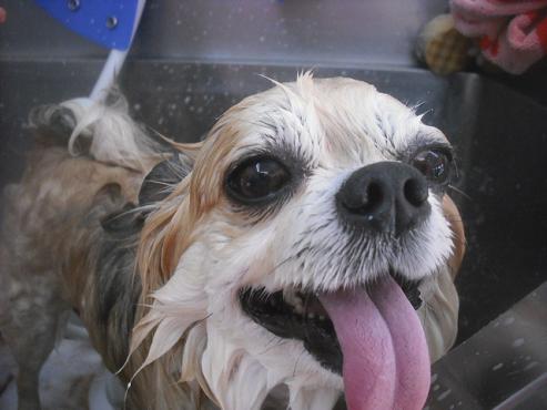 ファイル 2469-2.jpg