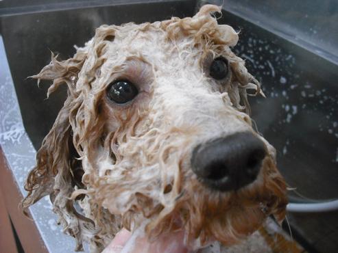 ファイル 247-2.jpg