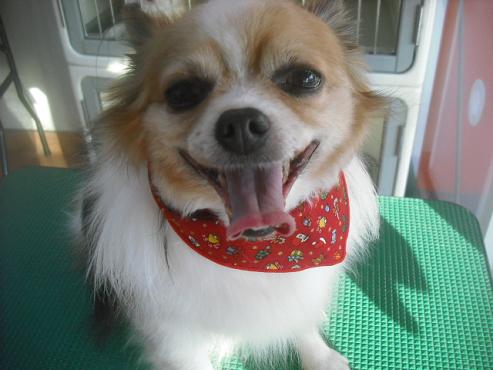 ファイル 2471-2.jpg