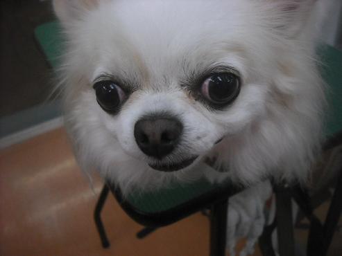 ファイル 2472-2.jpg