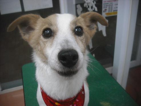 ファイル 2474-1.jpg