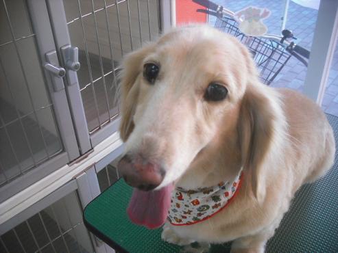 ファイル 2475-2.jpg