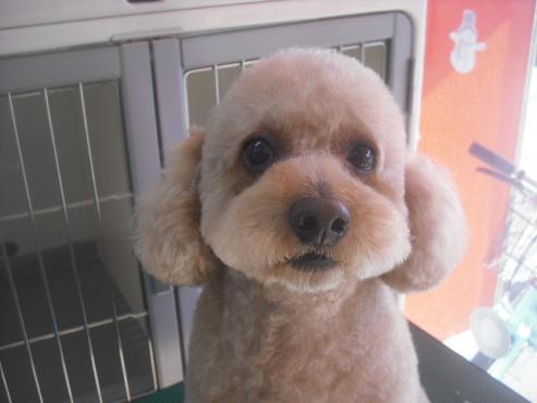 ファイル 2476-1.jpg