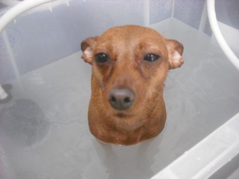 ファイル 2477-2.jpg