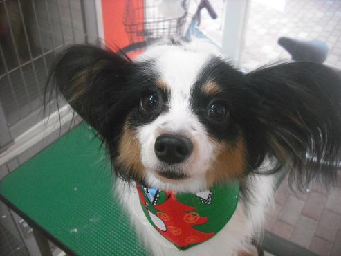 ファイル 2479-1.jpg