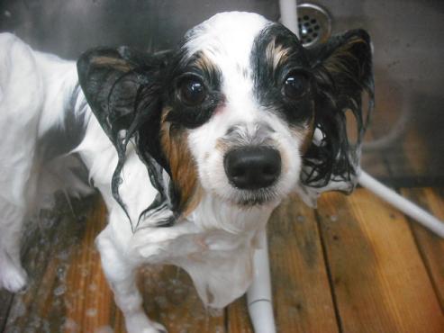 ファイル 2479-2.jpg