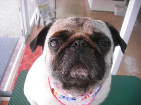 ファイル 248-1.jpg