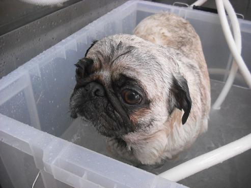 ファイル 248-2.jpg