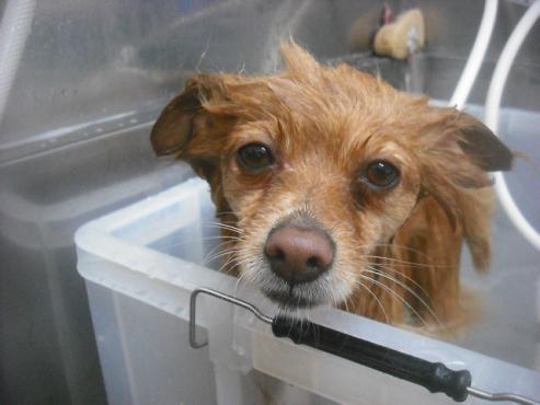 ファイル 2480-2.jpg