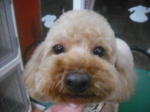 ファイル 2481-2.jpg