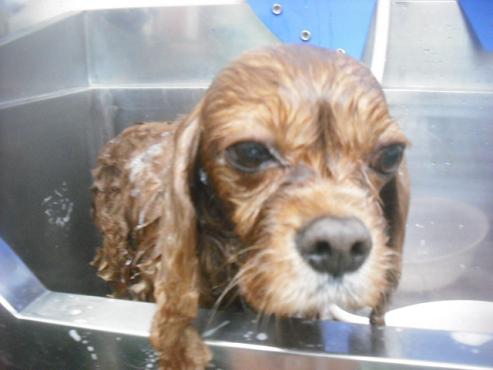 ファイル 2482-2.jpg