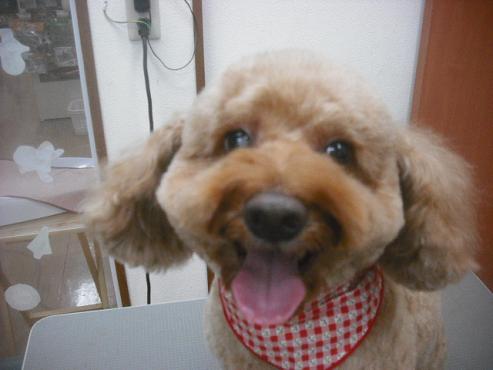 ファイル 2486-1.jpg