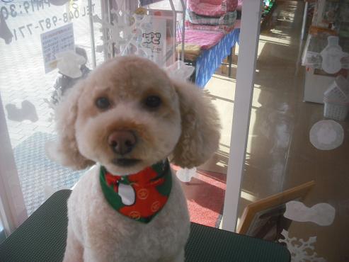 ファイル 2487-1.jpg