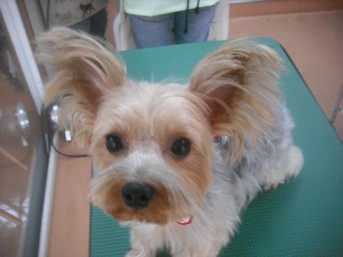 ファイル 2488-1.jpg