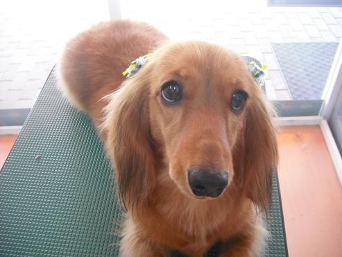 ファイル 249-1.jpg