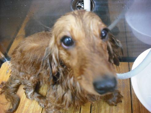 ファイル 249-2.jpg