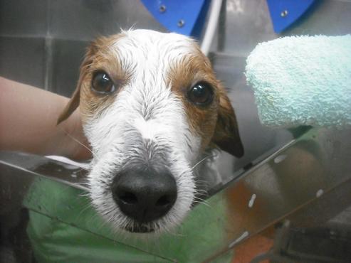 ファイル 2490-2.jpg