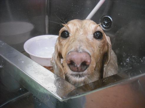 ファイル 2491-2.jpg