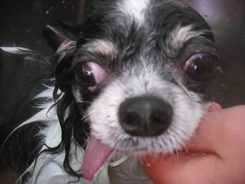 ファイル 2492-2.jpg