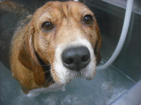 ファイル 2495-2.jpg