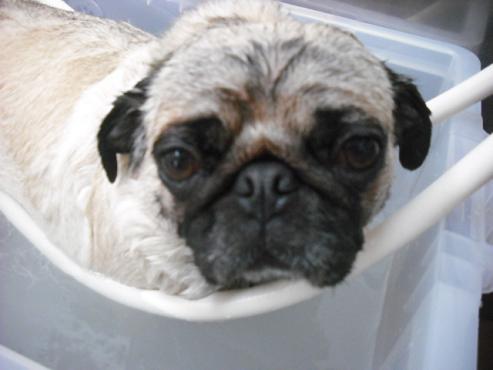 ファイル 25-2.jpg