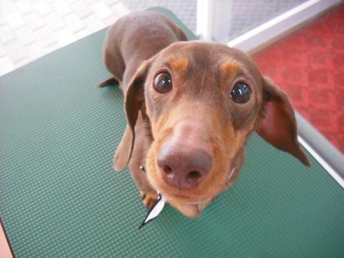 ファイル 250-1.jpg