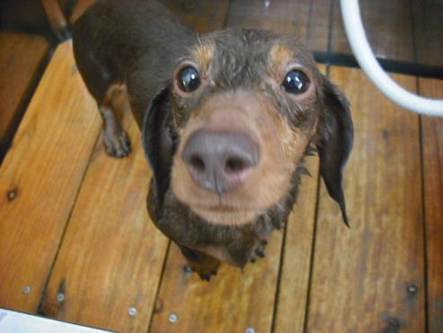 ファイル 250-2.jpg