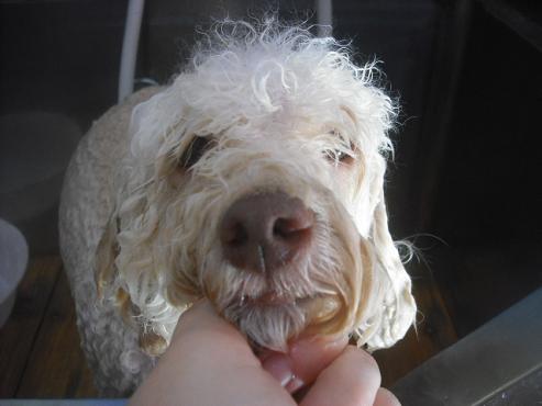 ファイル 2502-2.jpg