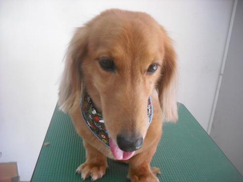 ファイル 2505-2.jpg