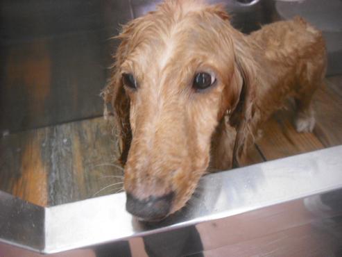 ファイル 2506-2.jpg