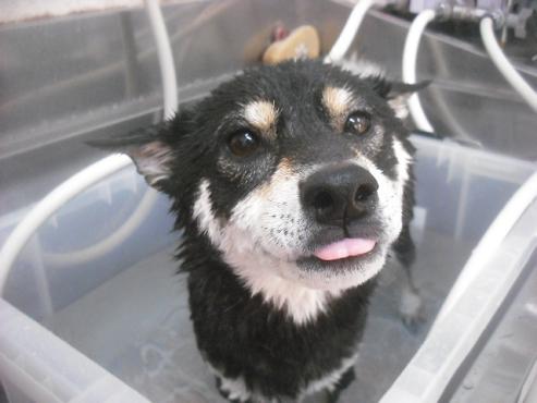 ファイル 2507-2.jpg