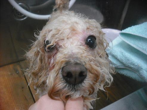 ファイル 2509-2.jpg