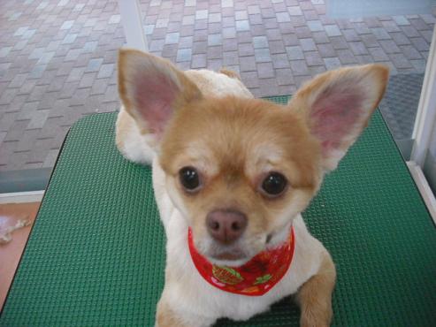 ファイル 251-1.jpg