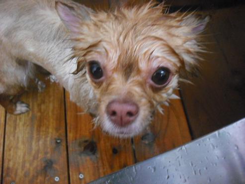 ファイル 251-2.jpg